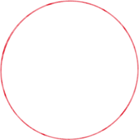 Red Circle Icon